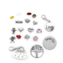 Load image into Gallery viewer, Mom Charm Fizzer | Beautiful Gems |  Beautiful Charms