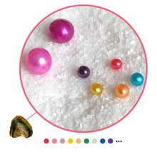 Load image into Gallery viewer, Mini Baby Round Pearls Freshwater Oyster | Pre Order