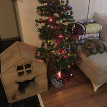 Load image into Gallery viewer, Lily Modern Cat House - Petguin