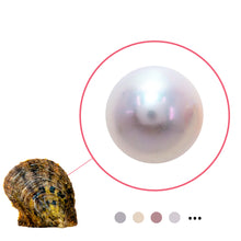 Load image into Gallery viewer, Edison Pearl Oyster | Pre Order
