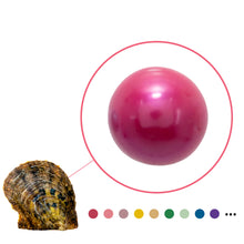 Load image into Gallery viewer, Edison Pearl Oyster | Pre Order