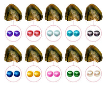 Load image into Gallery viewer, Twin Round Oyster