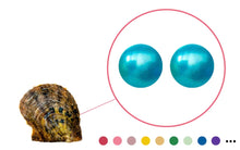Load image into Gallery viewer, Twin Round Oyster