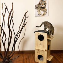 Load image into Gallery viewer, And it needs a place that's easy to clean, too. We have the solution for you: Petguin Cat Tower! Our cat tower provides the perfect space for cats in any household.
