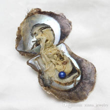 Load image into Gallery viewer, Medium Tray of Oysters Round Pearls | Pre Order