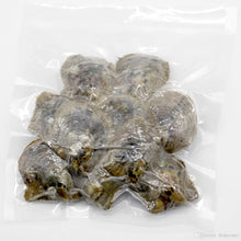 Load image into Gallery viewer, Medium Tray of Oysters Round Pearls | Pre Order