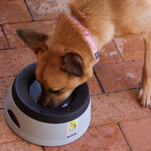 Load image into Gallery viewer, Road Refresher Non Spill Water Dog Bowl Large Grey - Petguin