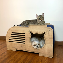 Load image into Gallery viewer, Lucky Modern Cat House with Scratching Carpet - Petguin
