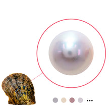 Load image into Gallery viewer, Edison Pearl Oyster | Pre Order
