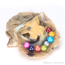 Load image into Gallery viewer, Medium Tray of Oysters Round Pearls | Pre Order
