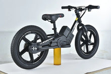 Load image into Gallery viewer, Pre Order 21V Freddo B2 E-Bike Up to 20kph Rubber Tires

