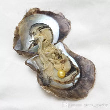 Load image into Gallery viewer, Single Oyster Round Pearl | Pre Order
